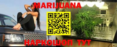 a pvp Новозыбков