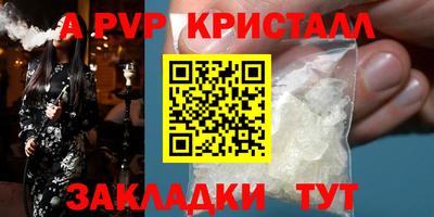 a pvp Новозыбков