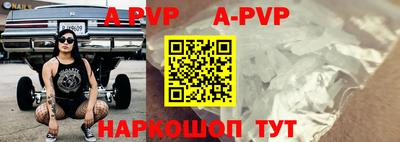 a pvp Новозыбков