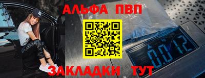 a pvp Новозыбков