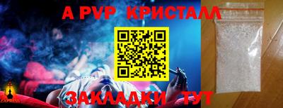 a pvp Новозыбков