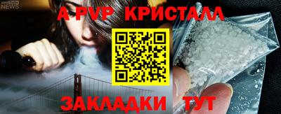 a pvp Новозыбков