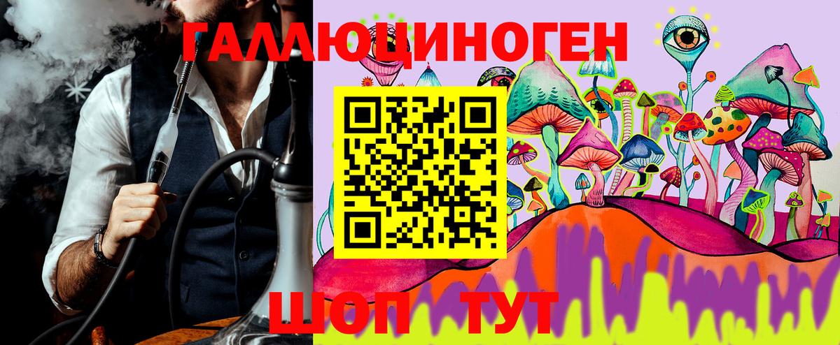 наркотики  Псилоцибиновые грибы MAGIC MUSHROOMS  Рязань  Вход с VPN  Псилоцибиновые грибы Psilocybe 