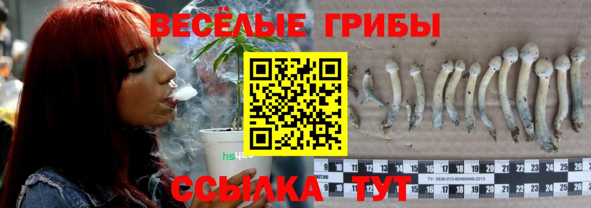 Галлюциногенные грибы мицелий Рязань